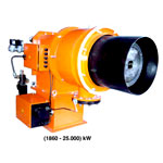 Oil cum Gas Burners